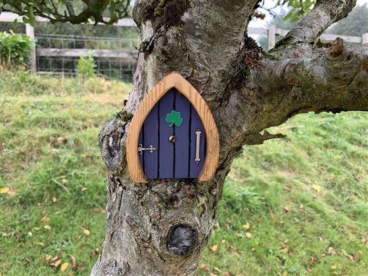 Fairy and Elf Door Hunt